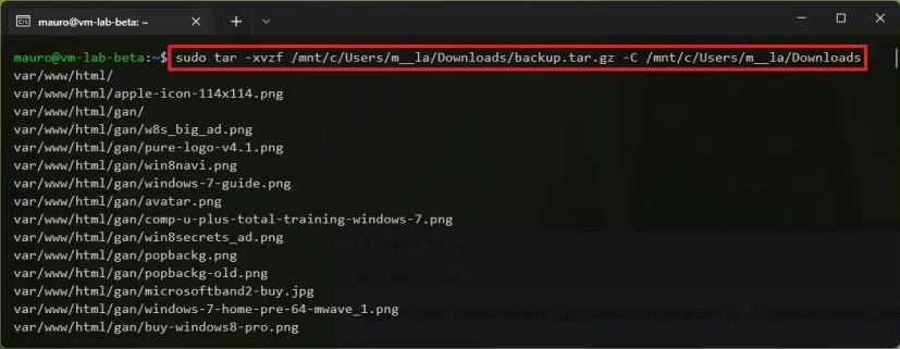 Linux extrait tar sur Windows 11