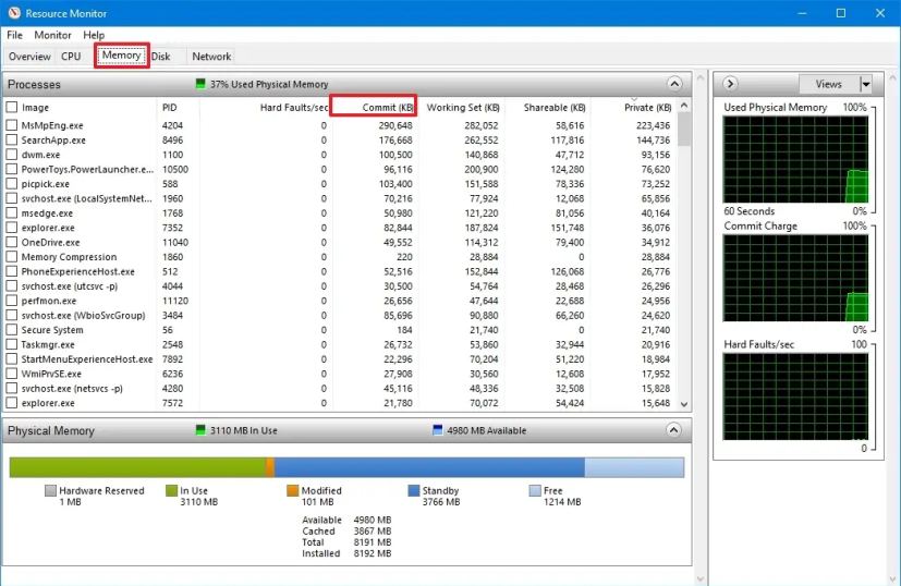 Resource Monitor vérifie l'utilisation de la mémoire de l'application