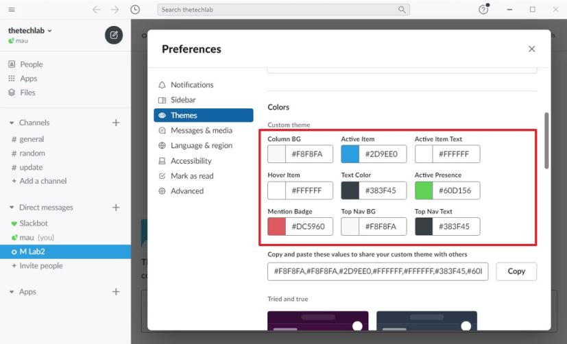 Paramètres de couleurs personnalisées Slack