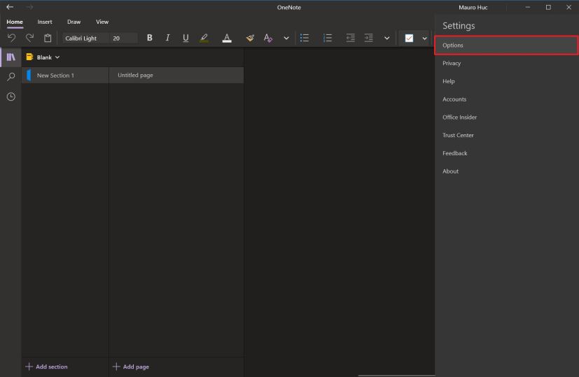 Options OneNote
