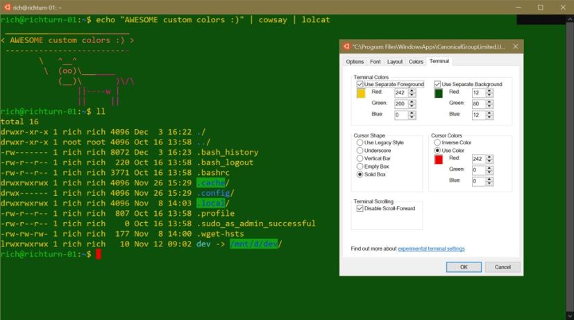 Paramètres du terminal pour les consoles sous Windows 10 version 1903