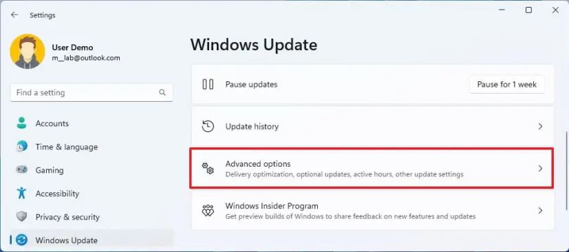 Options avancées de Windows Update