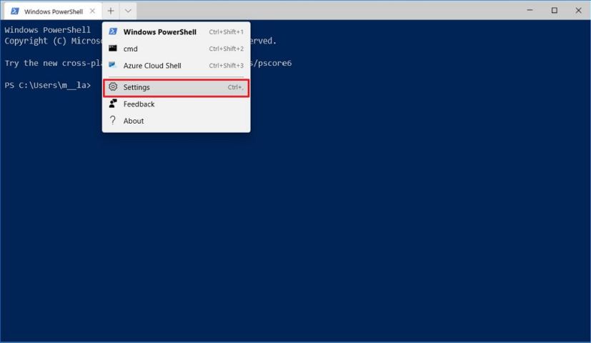 Option des paramètres du terminal Windows