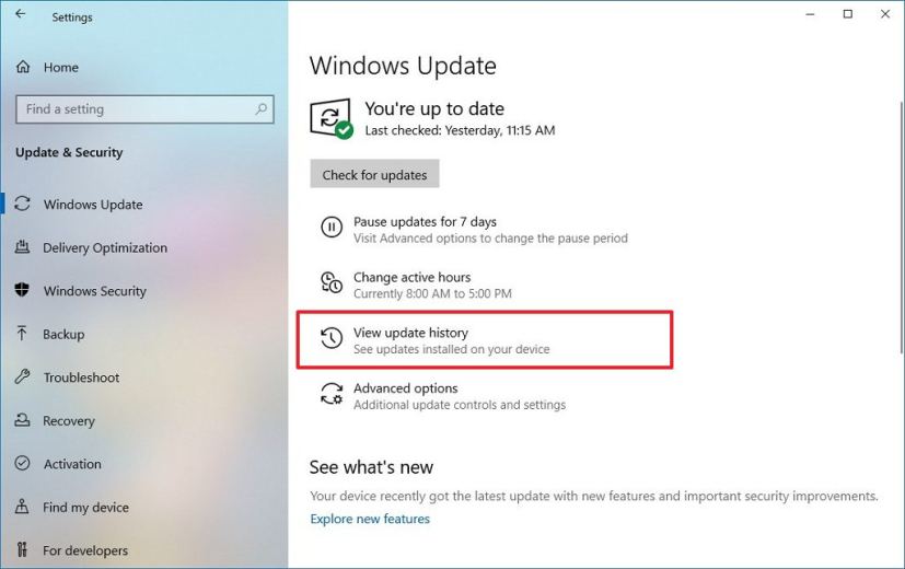 Paramètres Windows Update avec l'option d'historique des mises à jour sélectionnée