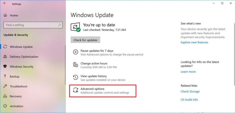 Paramètres Windows Update avec options avancées