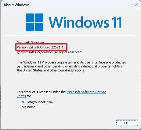 Winver vérifie la version 22H2