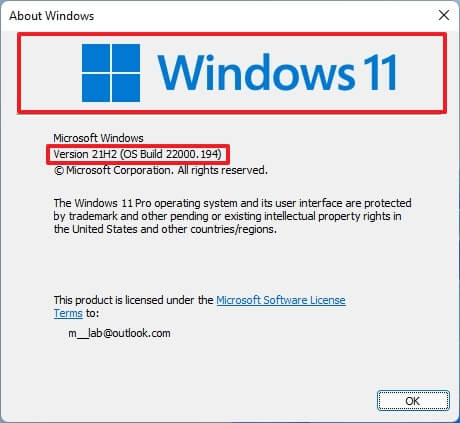 Windows 11 Winner