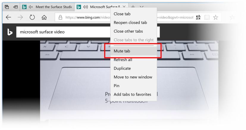 Option de l'onglet Edge Mute